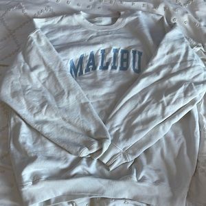 pacsun/brandymelville malibu crewneck